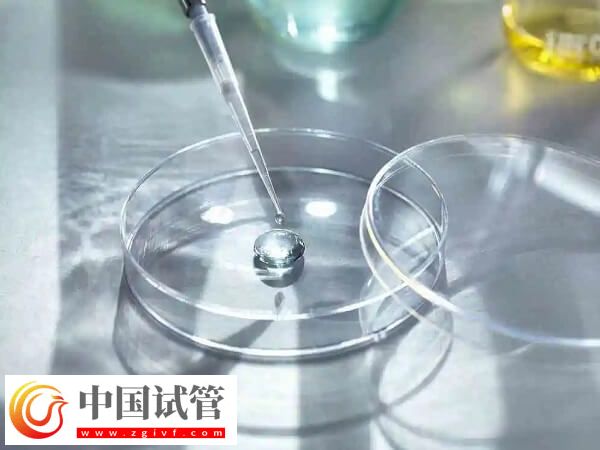 les试管婴儿做一次多少钱了(图1)