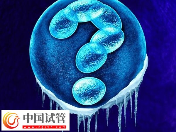 les去哪里做试管(图2)