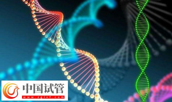 胚胎筛选和性别筛选是否一样(图1)