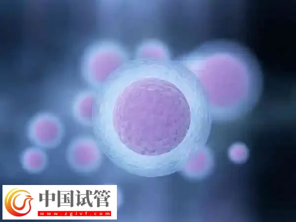 胚胎筛选和性别筛选是否一样(图3)
