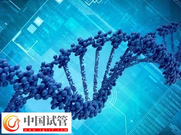胚胎筛选和性别筛选是否一样(图2)