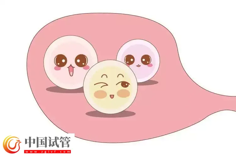试管婴儿能做几次?(图1) 试管婴儿能做几次?(图1)