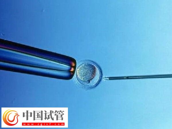 北京试管婴儿成功率最高的医院是哪个(图1)