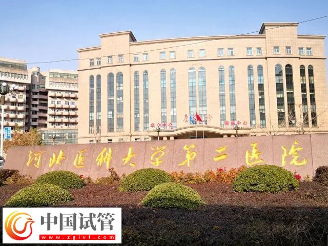 河北医科大学第二医院能做第三代试管婴儿吗？(图1)