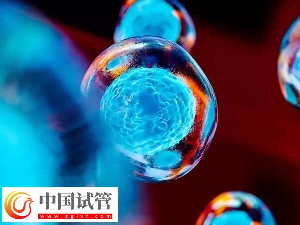 什么是第四代试管婴儿(图3)