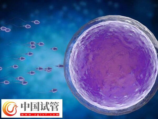 什么是第四代试管婴儿(图2)