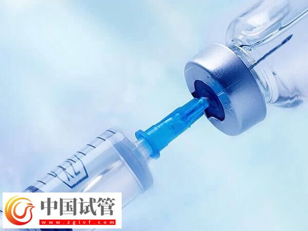 超长方案的卵泡质量会不会好点(图1)