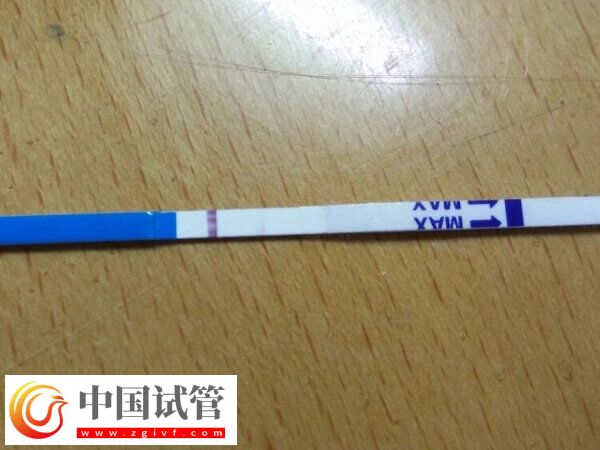 鲜胚移植十天后没测出有没有希望(图3)