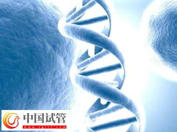 试管移植后有坠痛感正不正常(图1)