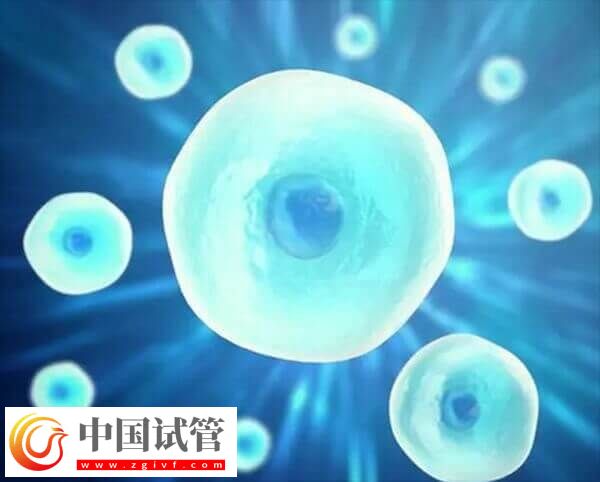 在长春妇产医院做一次试管婴儿的费用是多少呢？(图1)