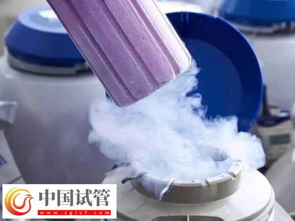 国内为什么禁止单身女性冻卵(图2)
