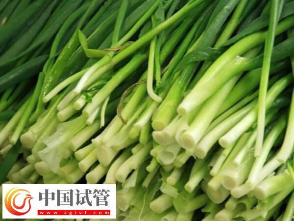 为什么鲜胚移植后不建议吃韭菜？(图1)