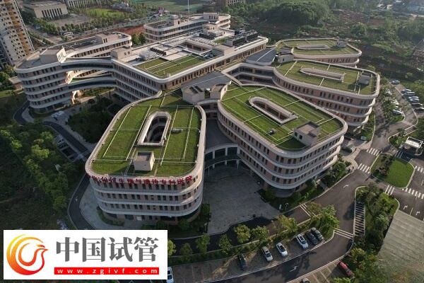 在湖南哪些医院可以做三代试管婴儿技术？(图1)
