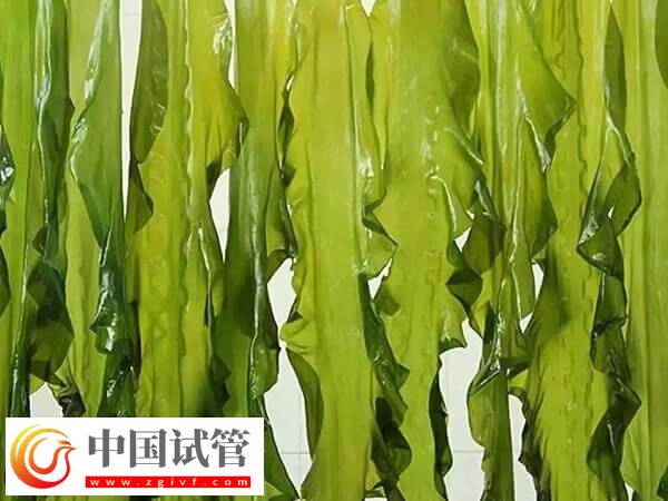 胚胎移植后吃海带对着床有没有影响(图1)