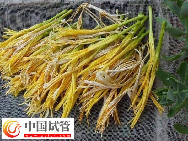 试管移植后吃干黄花菜对身体好不好(图1)