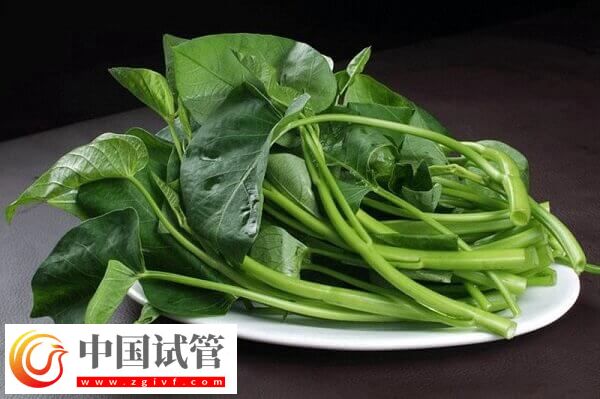 胚胎移植后吃空心菜是否有利于排便(图2)