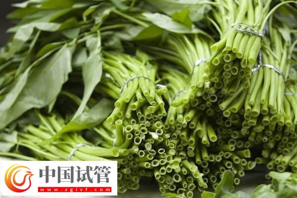 胚胎移植后吃空心菜是否有利于排便(图3)