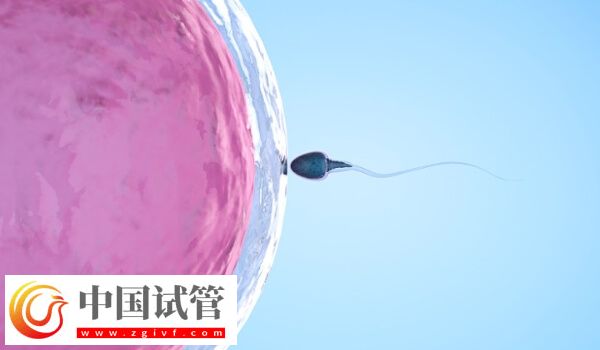 人工周期要去几次医院(图1)