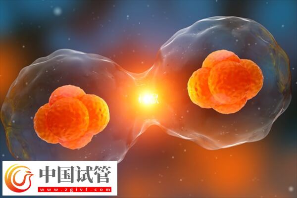一移失败二移成功率高不高(图2)