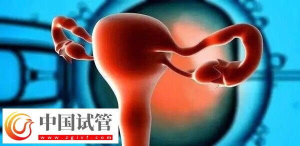 达菲林降调成功卵泡是多大(图3)