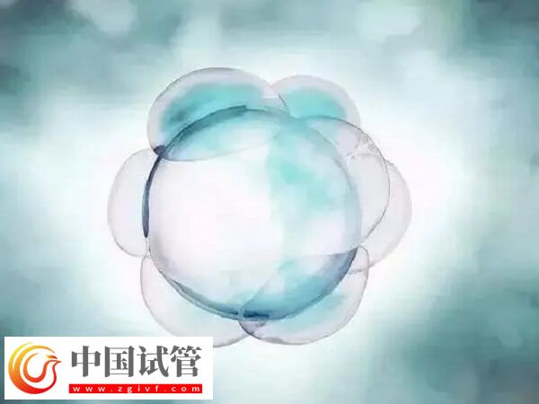 如何改善一卵多精的情况(图2)