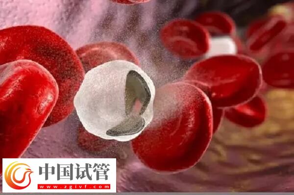试管移植第三天出血是不是着床了(图2)