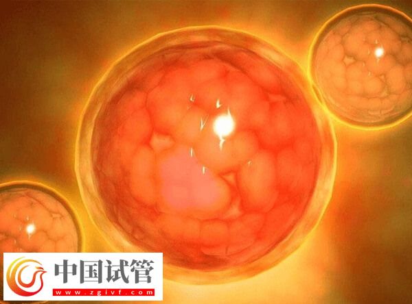 试管移植第三天出血是不是着床了(图3)