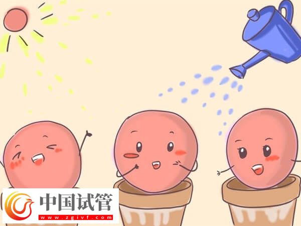 用果纳芬促排的成功率高不高(图1)