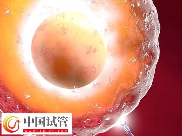 注射普丽康卵泡一天长多少(图1)