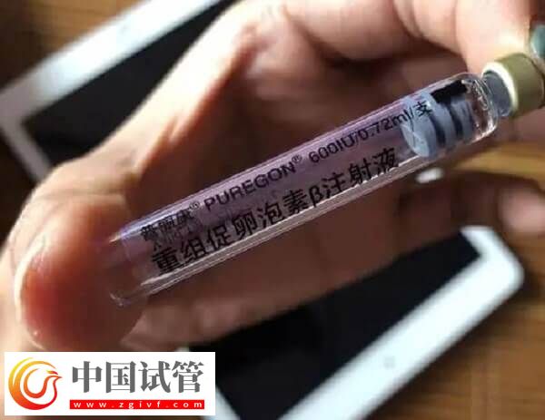 注射普丽康卵泡一天长多少(图4)