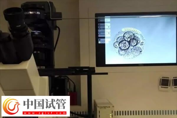 养囊失败的三大原因是哪些(图1)