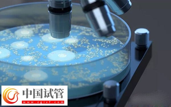 为什么人工周期成功率高(图1)