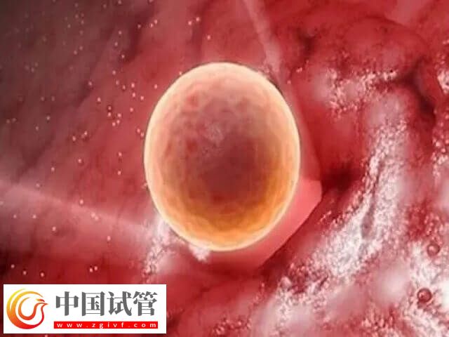 卵子质量不好影不影响胎儿健康(图1)