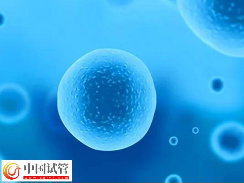 卵子质量不好影不影响胎儿健康(图2)