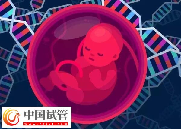 胚胎移植后的常见症状有哪些(图1)