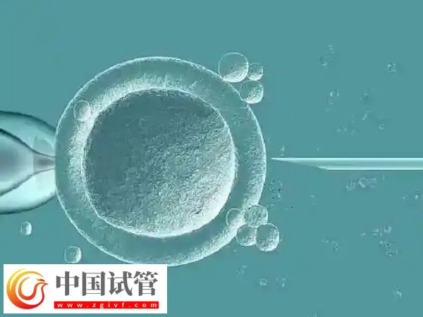 囊胚移植第十天出血的原因是什么(图1)