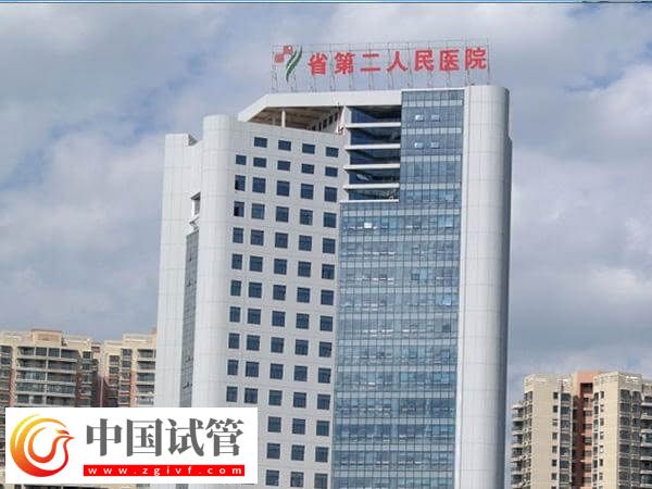 贵阳第二人民医院试管婴儿生双胞胎费用多少(图1)