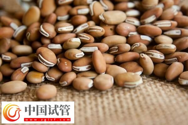 子宫肌瘤女性不能吃的食物有哪些(图2) 子宫肌瘤女性不能吃的食物有哪些(图2)