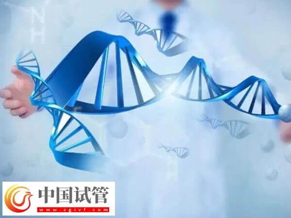 先天性肾病怎么做试管婴儿(图1) 先天性肾病怎么做试管婴儿(图1)