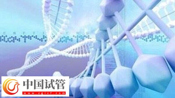 先天性肾病怎么做试管婴儿(图2) 先天性肾病怎么做试管婴儿(图2)