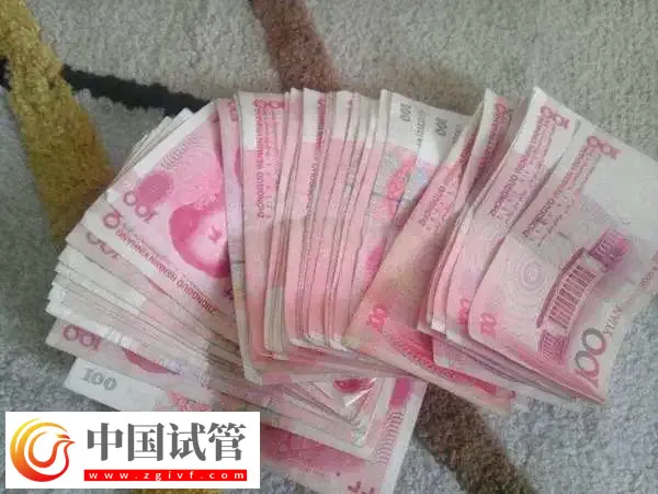 武汉同济生殖医学专科医院做试管生双胞胎费用多少(图1) 武汉同济生殖医学专科医院做试管生双胞胎费用多少(图1)