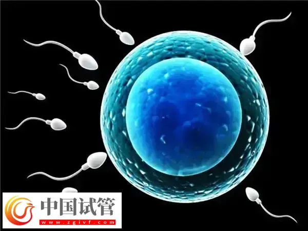 桥本甲状腺炎能不能做试管婴儿(图1)