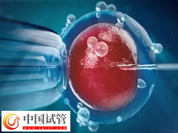 短方案取卵后多久移植胚胎(图1)