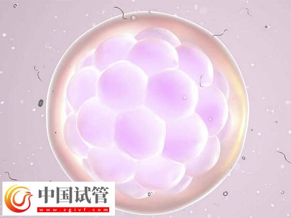 移植优质胚胎为什么不着床(图1)