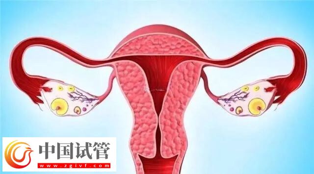 导致女性出现宫外孕的原因有哪些(图2) 导致女性出现宫外孕的原因有哪些(图2)