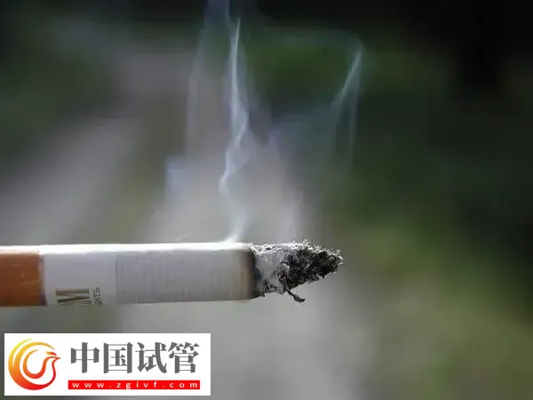试管婴儿移植后吸烟的危害有哪些(图1)