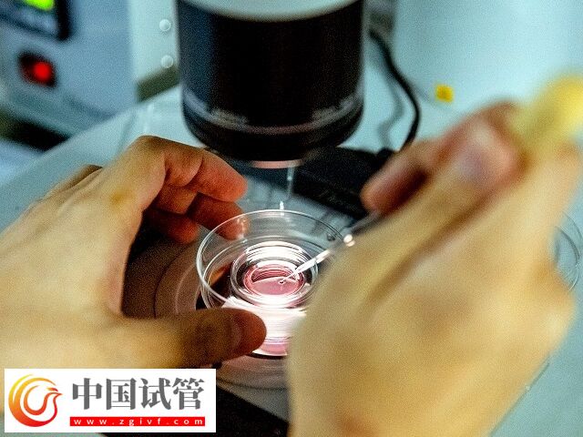 濮阳市妇幼保健院生殖科韩玉芬怎么样(图1) 濮阳市妇幼保健院生殖科韩玉芬怎么样(图1)