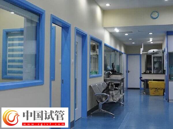 大连不孕不育哪家医院医得最好的(图1) 大连不孕不育哪家医院医得最好的(图1)