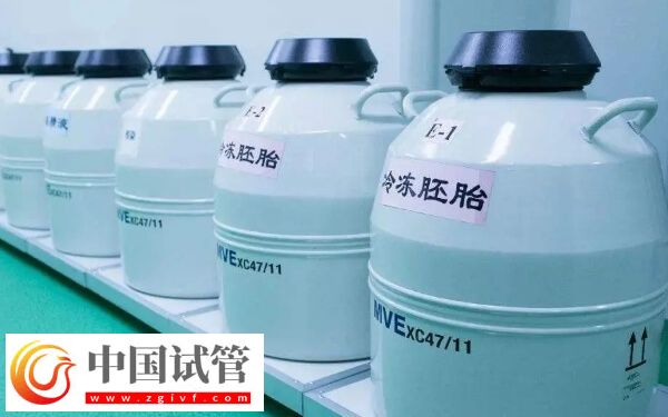 移植冻胚月经期检查什么(图1)