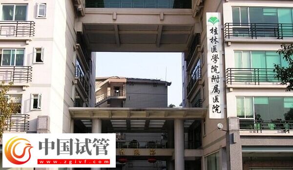 做三代试管选桂林医学院好还是181医院好?(图2) 做三代试管选桂林医学院好还是181医院好?(图2)